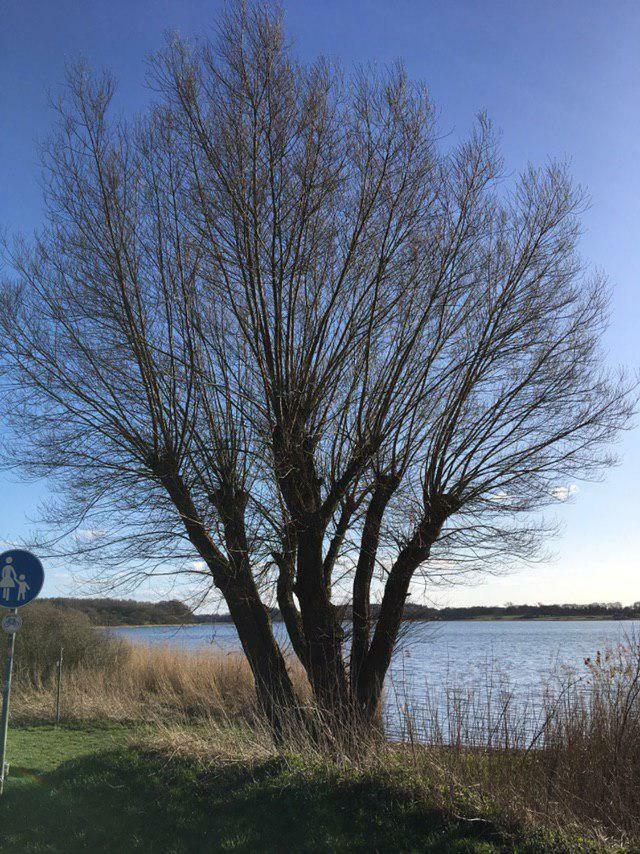Ferienwohnung Am Noor Nahe Schleswig Und Dem Wikingerdorf Haithabu Fahrdorf  Exteriér fotografie