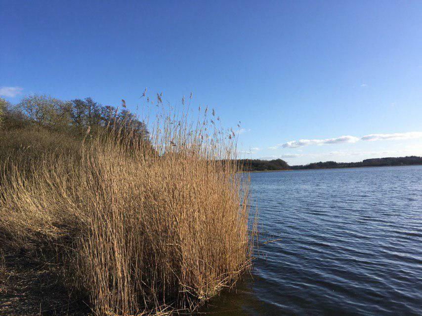 Ferienwohnung Am Noor Nahe Schleswig Und Dem Wikingerdorf Haithabu Fahrdorf  Exteriér fotografie