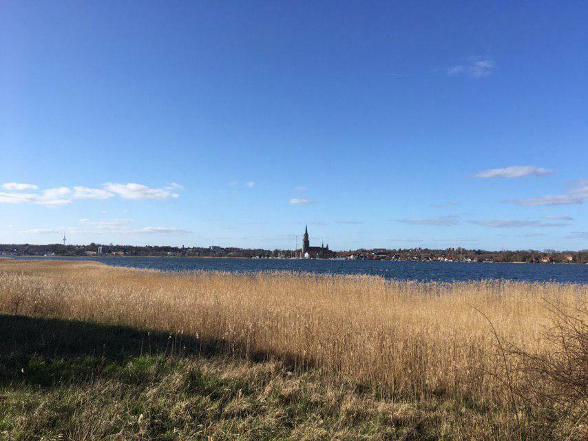 Ferienwohnung Am Noor Nahe Schleswig Und Dem Wikingerdorf Haithabu Fahrdorf  Exteriér fotografie
